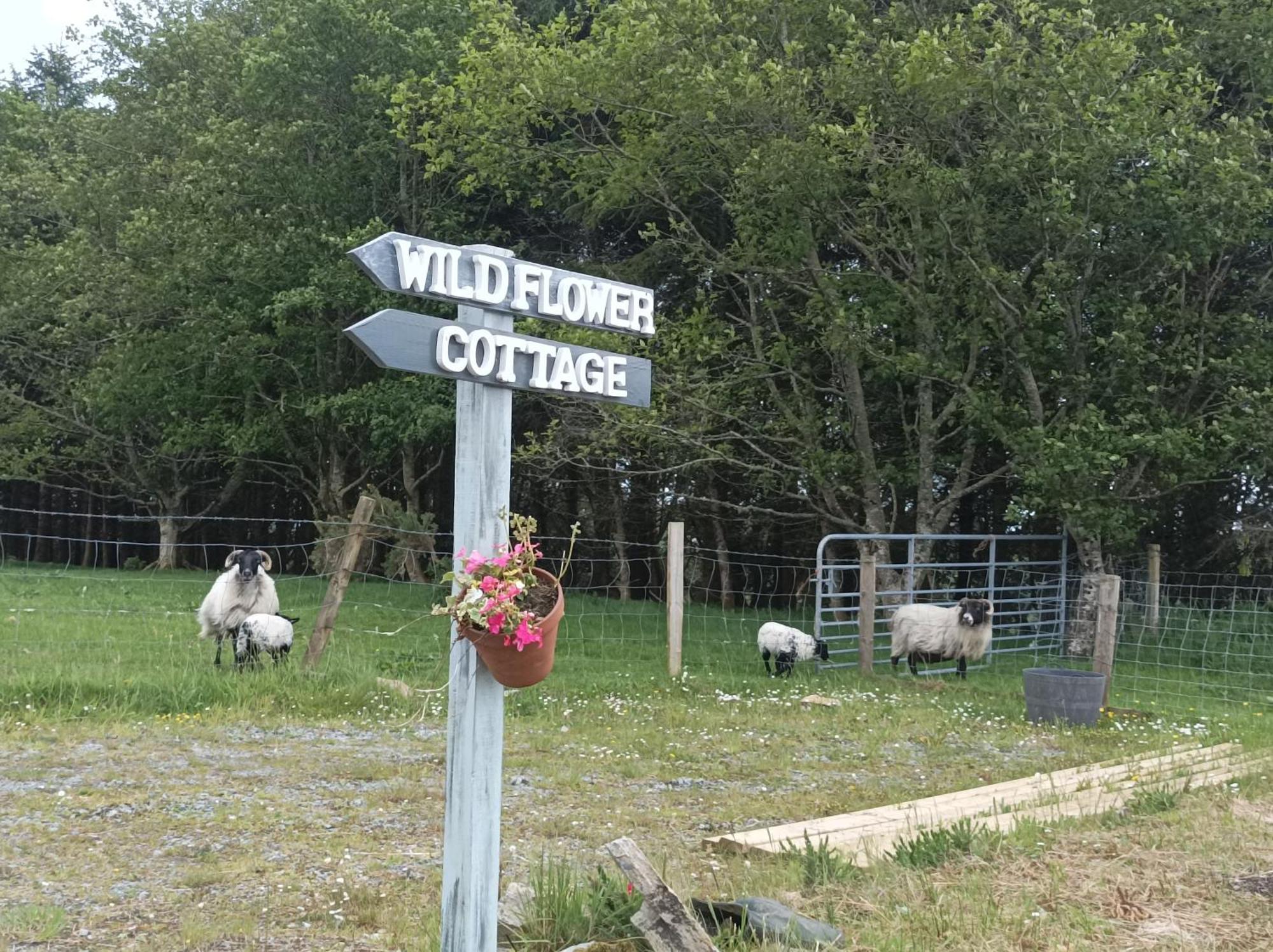 Clifden Wildflower Cottage - Clifden Countryside Lettings Экстерьер фото